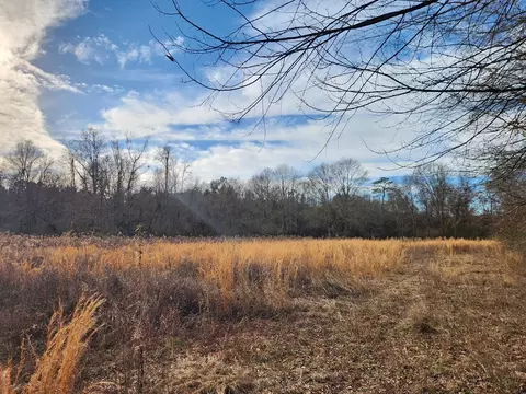 1121 Causey Rd, Mccomb, MS 39648 photo 2