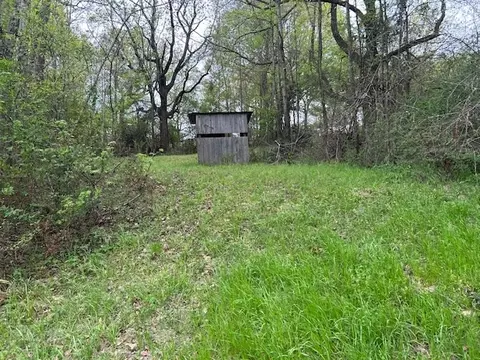 2108 Charlie Boyd Rd, Jayess, MS 39641 photo 8