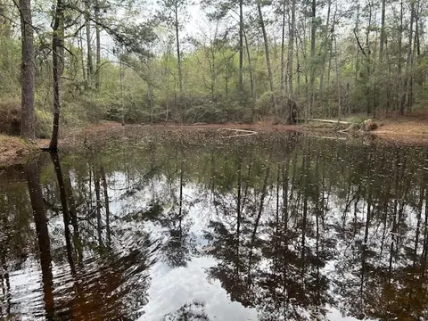 2108 Charlie Boyd Rd, Jayess, MS 39641 photo 11