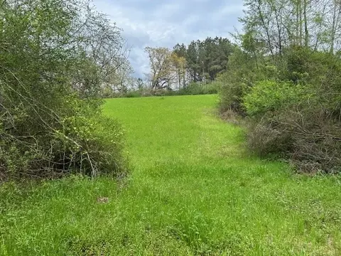 2108 Charlie Boyd Rd, Jayess, MS 39641 photo 6