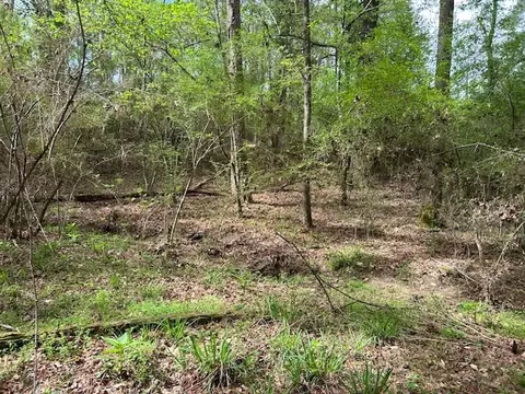 2108 Charlie Boyd Rd, Jayess, MS 39641 photo 17
