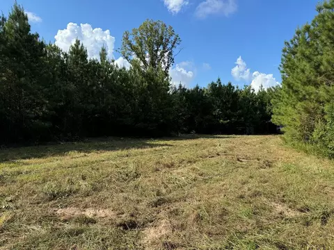 1365 Mickle Smith Trl, Bogue Chitto, MS 39629