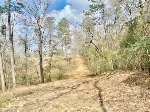 311 Speights Rd, Bassfield, MS 39421 photo 17