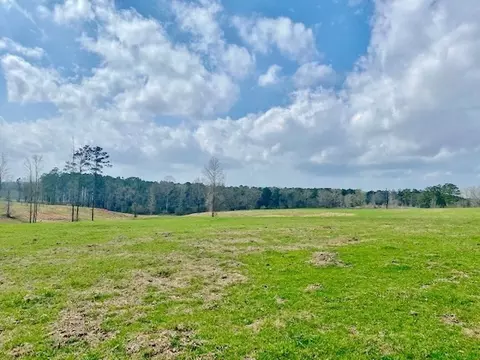 311 Speights Rd, Bassfield, MS 39421 photo 28