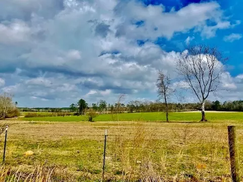 311 Speights Rd, Bassfield, MS 39421 photo 36