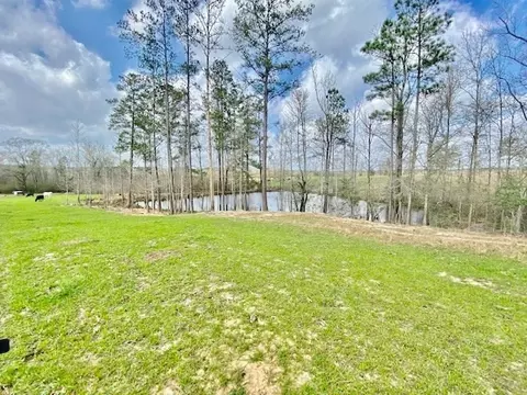 311 Speights Rd, Bassfield, MS 39421 photo 34