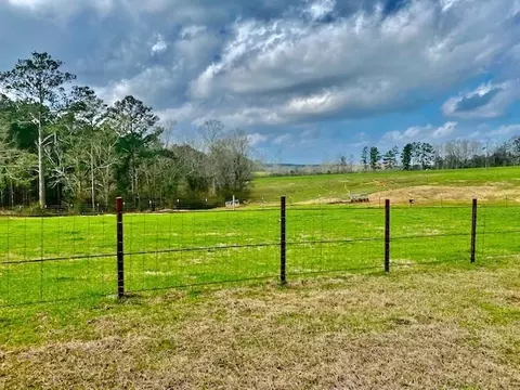311 Speights Rd, Bassfield, MS 39421 photo 25