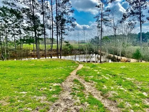 311 Speights Rd, Bassfield, MS 39421 photo 4
