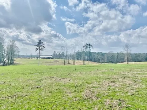 311 Speights Rd, Bassfield, MS 39421 photo 18