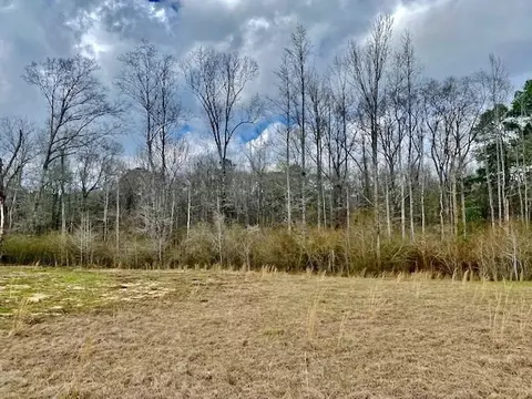 311 Speights Rd, Bassfield, MS 39421 photo 40