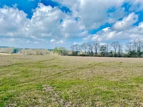 311 Speights Rd, Bassfield, MS 39421 photo 31