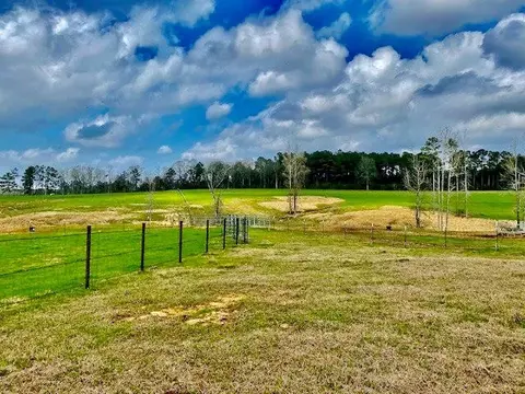 311 Speights Rd, Bassfield, MS 39421