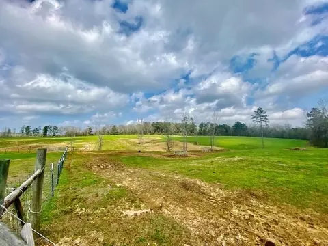 311 Speights Rd, Bassfield, MS 39421 photo 27