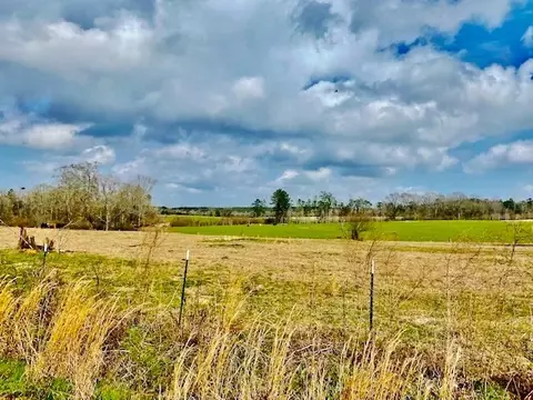 311 Speights Rd, Bassfield, MS 39421 photo 14