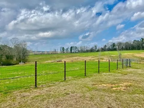 311 Speights Rd, Bassfield, MS 39421 photo 22