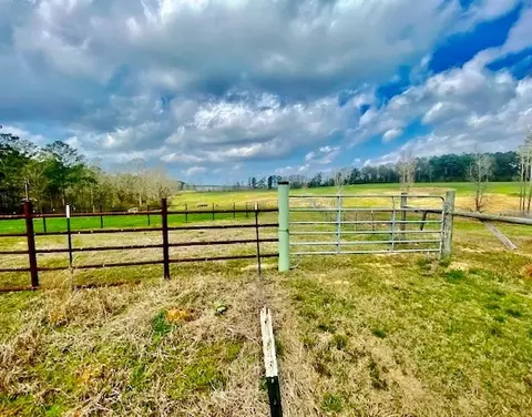 311 Speights Rd, Bassfield, MS 39421 photo 5