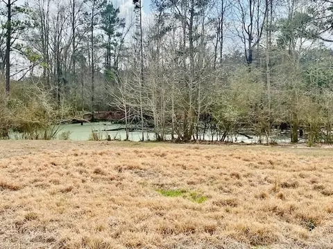 311 Speights Rd, Bassfield, MS 39421 photo 24