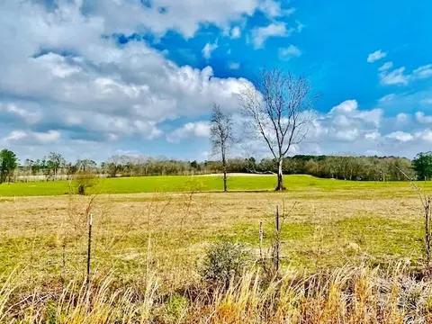 311 Speights Rd, Bassfield, MS 39421 photo 3