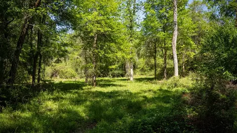4199 Pumping Station Rd, Osyka, MS 39657 photo 24