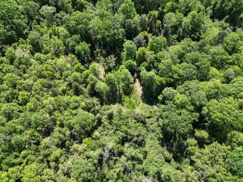 4199 Pumping Station Rd, Osyka, MS 39657 photo 3