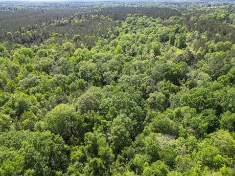 4199 Pumping Station Rd, Osyka, MS 39657 photo 6