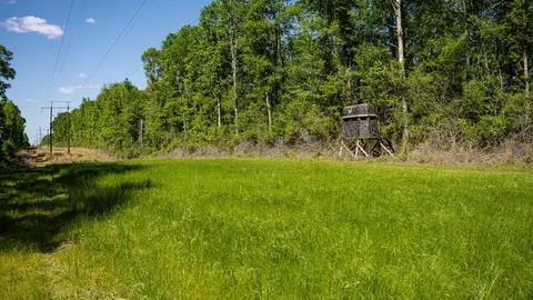4199 Pumping Station Rd, Osyka, MS 39657