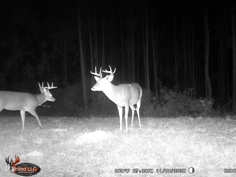 4199 Pumping Station Rd, Osyka, MS 39657 photo 51