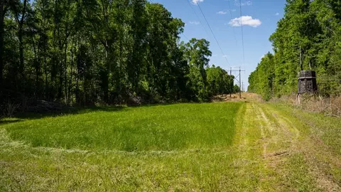 4199 Pumping Station Rd, Osyka, MS 39657 photo 13