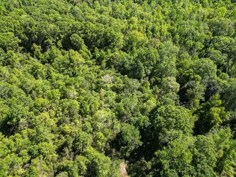 4199 Pumping Station Rd, Osyka, MS 39657 photo 5