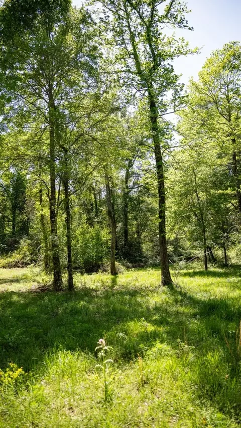 4199 Pumping Station Rd, Osyka, MS 39657 photo 27