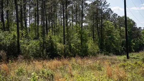 4199 Pumping Station Rd, Osyka, MS 39657 photo 32