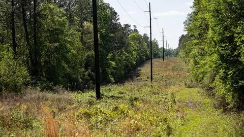 4199 Pumping Station Rd, Osyka, MS 39657 photo 33