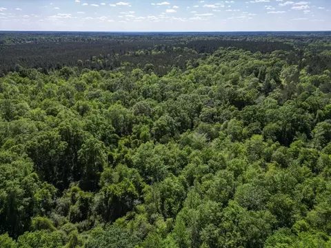 4199 Pumping Station Rd, Osyka, MS 39657 photo 10