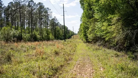4199 Pumping Station Rd, Osyka, MS 39657 photo 30