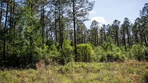 4199 Pumping Station Rd, Osyka, MS 39657 photo 34