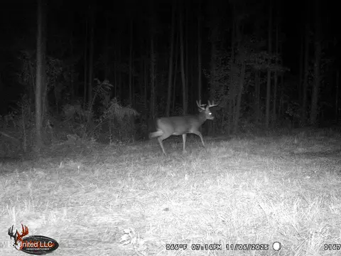4199 Pumping Station Rd, Osyka, MS 39657 photo 47