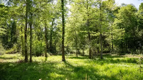 4199 Pumping Station Rd, Osyka, MS 39657 photo 26