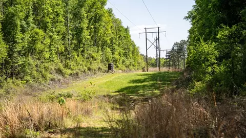 4199 Pumping Station Rd, Osyka, MS 39657 photo 21