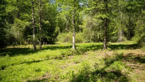4199 Pumping Station Rd, Osyka, MS 39657 photo 23