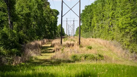 4199 Pumping Station Rd, Osyka, MS 39657 photo 18