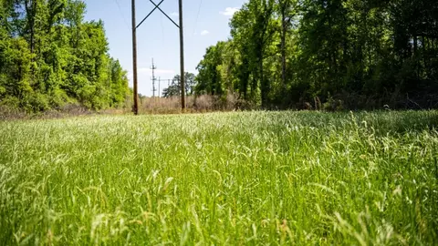 4199 Pumping Station Rd, Osyka, MS 39657 photo 17
