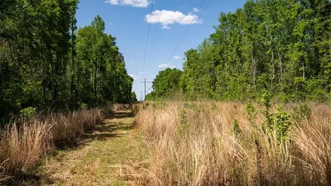 4199 Pumping Station Rd, Osyka, MS 39657 photo 19