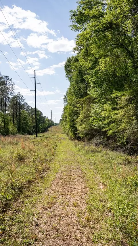 4199 Pumping Station Rd, Osyka, MS 39657 photo 31