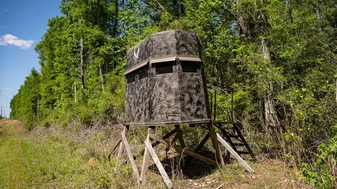 4199 Pumping Station Rd, Osyka, MS 39657 photo 14