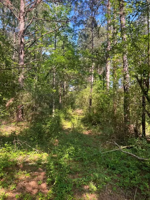 1049 Candy Ln, Mccomb, MS 39648 photo 2