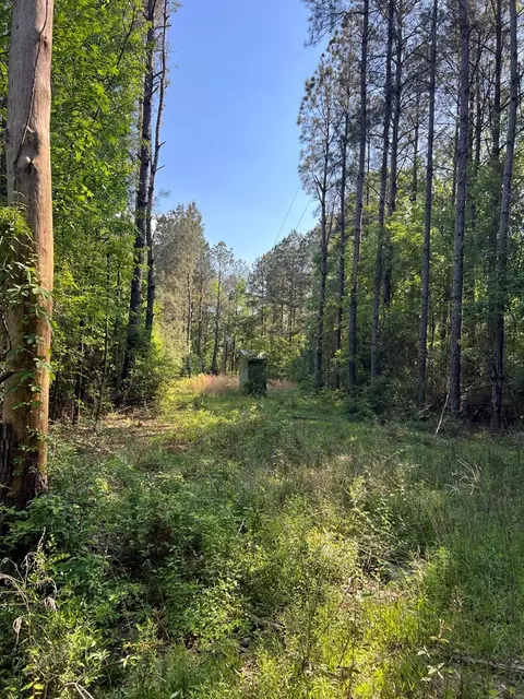 1049 Candy Ln, Mccomb, MS 39648 photo 17
