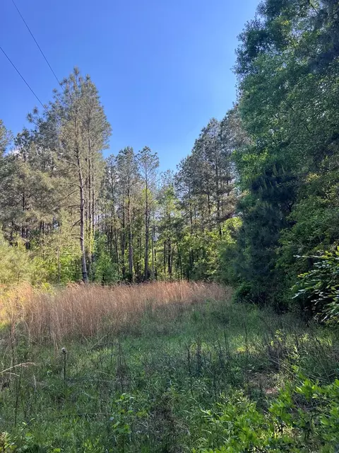 1049 Candy Ln, Mccomb, MS 39648 photo 26