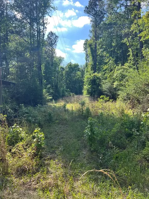 1049 Candy Ln, Mccomb, MS 39648 photo 15