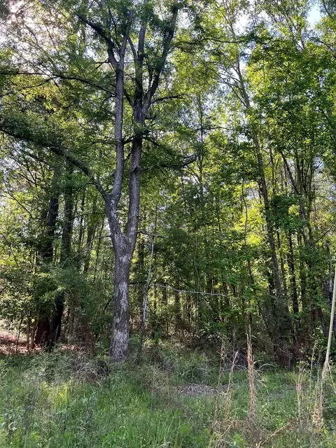 1049 Candy Ln, Mccomb, MS 39648 photo 18