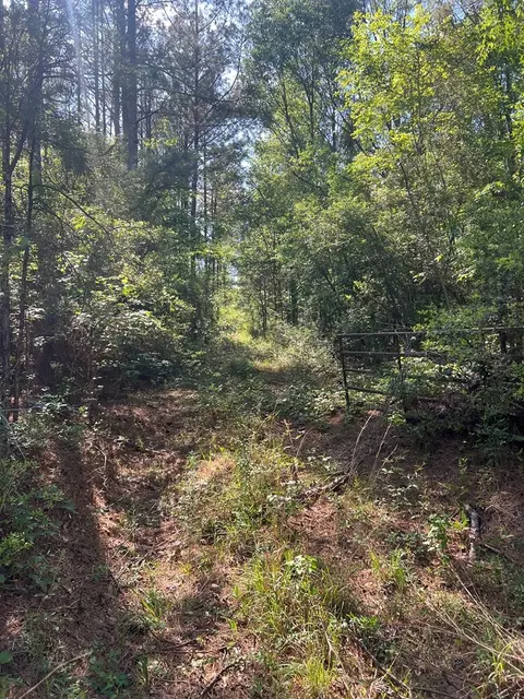 1049 Candy Ln, Mccomb, MS 39648 photo 5